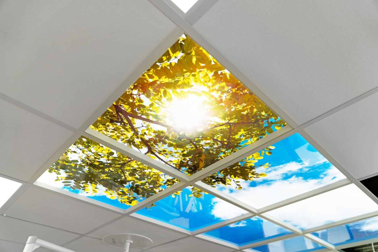 John Radcliffe – Level 5, photograph 67 of 72